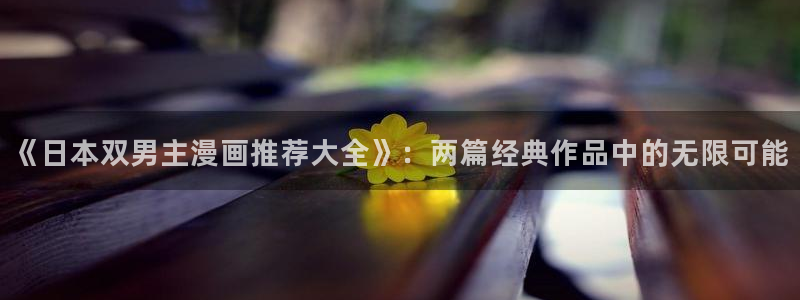 动漫omofun：《日本双男主漫画推荐大全》：两篇经典作品中的无限可能