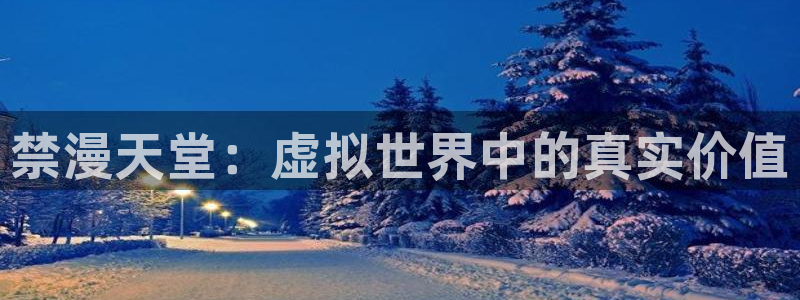 omofun动漫网站入口：禁漫天堂：虚拟世界中的真实价值