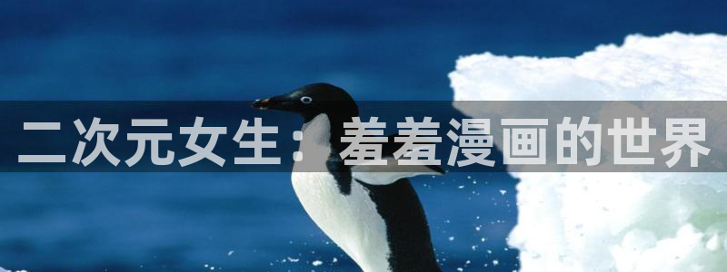 囧次元进入：二次元女生：羞羞漫画的世界