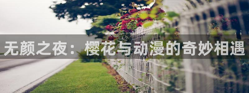 o站囧次元：无颜之夜：樱花与动漫的奇妙相遇