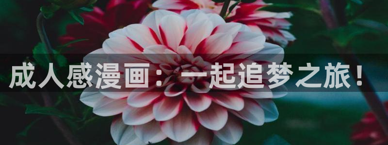 囧次元下载最新版：成人感漫画：一起追梦之旅！