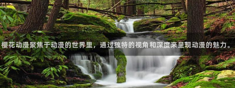 age动漫omofun：樱花动漫聚焦于动漫的世界里，通过独特的视角和深度来呈现动漫的魅力。