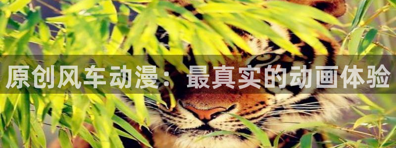 omofun动漫网站：原创风车动漫：最真实的动画体验