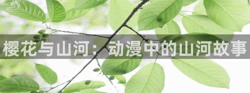 omofun全新版官网入口：樱花与山河：动漫中的山河故事