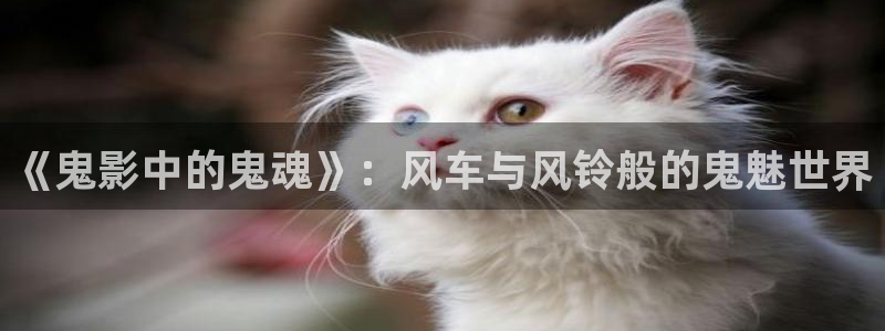omofun安卓：《鬼影中的鬼魂》：风车与风铃般的鬼魅世界