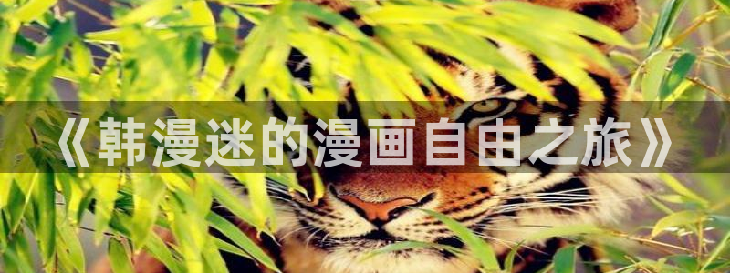 omofun入口：《韩漫迷的漫画自由之旅》